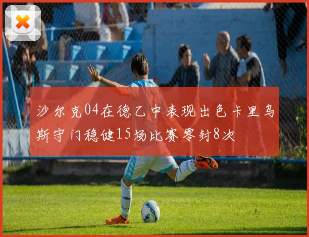 沙尔克04在德乙中表现出色卡里乌斯守门稳健15场比赛零封8次