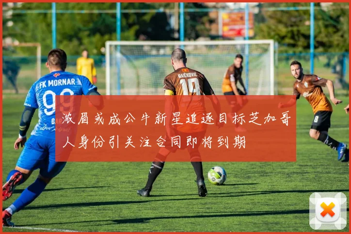 浓眉或成公牛新星追逐目标芝加哥人身份引关注合同即将到期