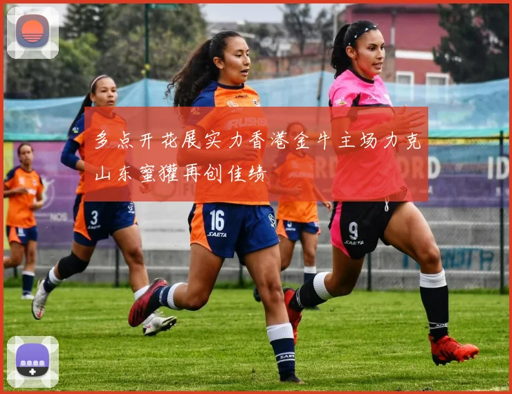 多点开花展实力香港金牛主场力克山东蜜獾再创佳绩