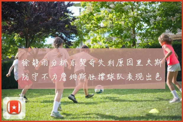 徐静雨分析东契奇失利原因里夫斯防守不力詹姆斯独撑球队表现出色